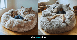 Giant Cat Bean Bags Collection