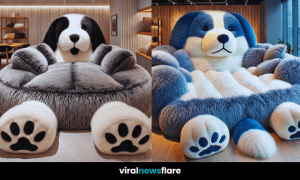 A collection of various plush dog chairs showcasing different colours and designs in a contemporary interior.