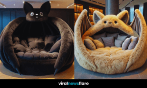 Fluffy Bat Chairs Collection - Whimsical Seating for Modern Homes