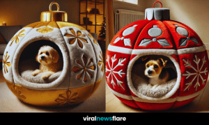 Collection of Festive Ornament Dog Beds