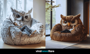 Majestic Owl Cuddle Sofa Collection