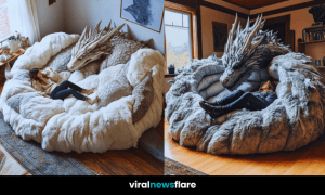 Dragon Sofa - Fantasy Inspired Furniture