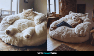 Oversized Cat Furniture—The Ultimate Comfort Trend
