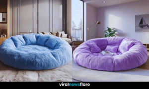 Cosy round sofas with a pink tufted design in a contemporary living room setting.