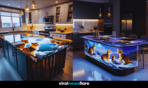 A stunning kitchen island featuring illuminated cat designs in a modern kitchen.