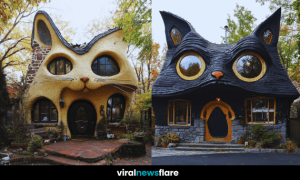 A whimsical cat-shaped house with intricate details, resembling a giant feline with expressive eyes and charming features.