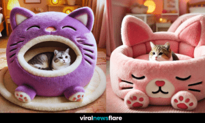 A cosy, plush cat bed featuring a cute feline design, perfect for a comfortable and warm nap.