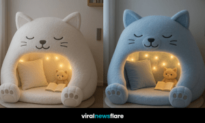 Set of four cat-shaped reading pods in black, pink, white, and blue, each with a book and soft lighting.