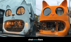 A stunning cat-shaped café exterior, perfect for cat lovers and coffee enthusiasts.