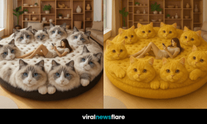 A collage of oversized cat sofas in various colours featuring women lounging in cosy living rooms.