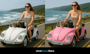 Colourful car-inspired bike with two cats and a smiling woman riding by the ocean