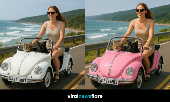 Colourful car-inspired bike with two cats and a smiling woman riding by the ocean