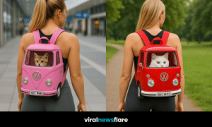 Two women wearing Volkswagen campervan-style pet backpacks, one pink with a kitten inside and the other red with a white cat, featured in a Viral News Flare image.