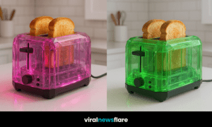 Four transparent toasters in different colours—blue, pink, purple, and green—each with toasted bread in a clean, modern kitchen.