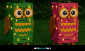 Set of multicoloured owl planters with glowing fairy lights and flowers in a garden at night