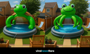 A collection of colourful animal-themed inflatable pools set up in a sunny British garden.