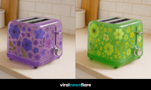 Four floral-themed transparent toasters in pink, green, purple, and multicolour on a kitchen counter