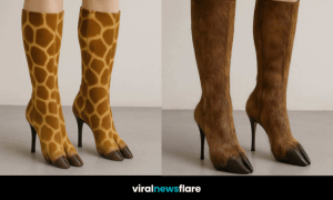 A variety of animal-inspired high heel boots including frog, giraffe, bird and pig toe styles