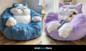 A collection of oversized cat-shaped armchairs in pink, lavender, orange, and blue