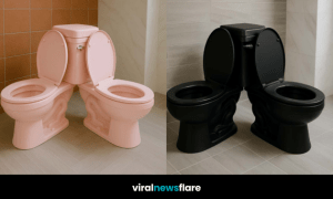 A trio of dual-seat toilets in white, black, and pink colours showcasing a bold interior trend.