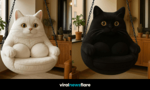 A collection of colourful cat-shaped swing chairs in black, white, yellow, and purple in a home setting.