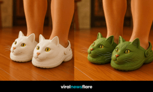A fun selection of cat-shaped Crocs in various colours, shown worn on wooden flooring.