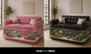 Aquarium sofa with built-in fish tank and colourful fish in a modern living room