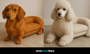 A set of uniquely designed sofas shaped like different dog breeds including Doberman, Dachshund, Bulldog, and Poodle