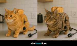 A cat toaster built into its back, complete with toast and a power cord, sitting on a kitchen counter.