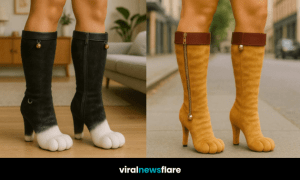 A collection of stylish cat paw boots in various colours displayed outdoors.