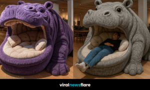 ollection of oversized hippo-shaped daybeds in various colours with plush seating