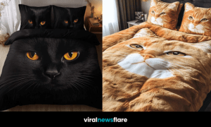 Assortment of realistic cat-themed duvet sets including ginger, tuxedo, Persian, and black cat designs on cosy beds.