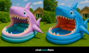 Large purple shark-shaped inflatable sofa lounger with turquoise seating on a green lawn.