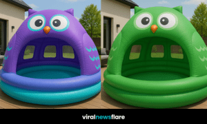 Large inflatable paddling pool shaped like a owl with dome canopy on wooden decking