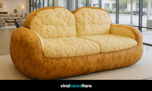 Whimsical oversized jacket potato sofa displayed in a bright furniture showroom with floor-to-ceiling windows