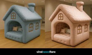 Side-by-side pastel blue and pink house-shaped lounge sofas with cushioned interiors, featured as a blog header for Viral News Flare