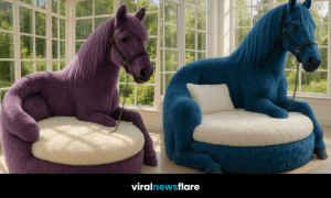 A large horse-shaped armchair with a white cushion, set in a sunlit room with large windows.