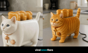 A set of cat-shaped toasters in grey, ginger, black-and-white, and white designs with steaming toast.