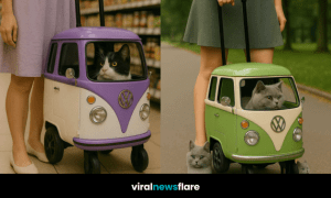 Multiple cats in colourful miniature VW camper van pet carriers.