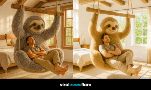 Oversized sloth swing chair hanging in a sunlit bedroom, offering a cosy and playful seating space.