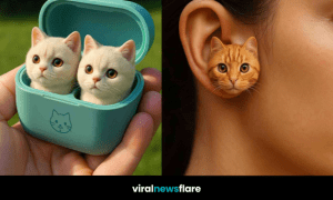 Selection of cat-themed earbuds and accessories including tabby, cream, ginger, and black cat designs.