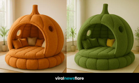 Collection of colourful pumpkin-shaped beds in a bright, modern living space