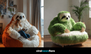 Large sloth sofa in a cosy living room with natural light.