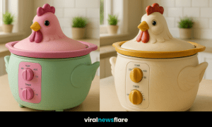 Collection of colourful chicken-shaped slow cookers in navy blue, pastel green, mustard yellow, and cream displayed on kitchen countertops.