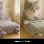 A collection of giant cat-shaped beds in various colours including ginger, grey, and calico designs arranged in bright bedrooms.