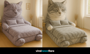A collection of giant cat-shaped beds in various colours including ginger, grey, and calico designs arranged in bright bedrooms.