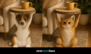 Side-by-side dog and cat side tables with wooden tops in a cosy home setting