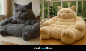 Collection of oversized cat-shaped sofas in various colours, designed for comfort and whimsical home décor.