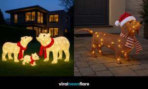 Collection of outdoor illuminated Christmas decorations including animals and festive figures glowing at night.