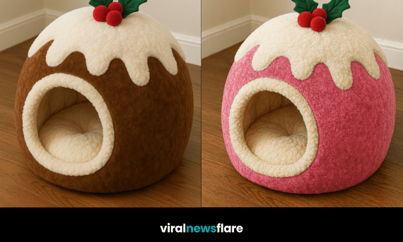 Collection of Christmas pudding cat beds in festive colours with plush interiors